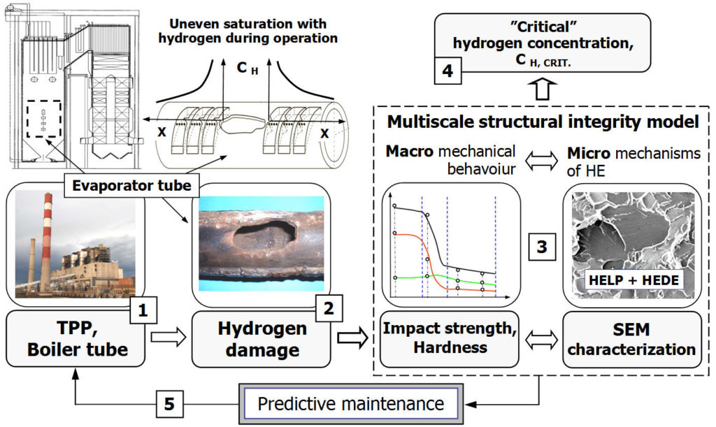 Concept of a structural integrity model for prediction of hydrogen embrittlement and damage in steels